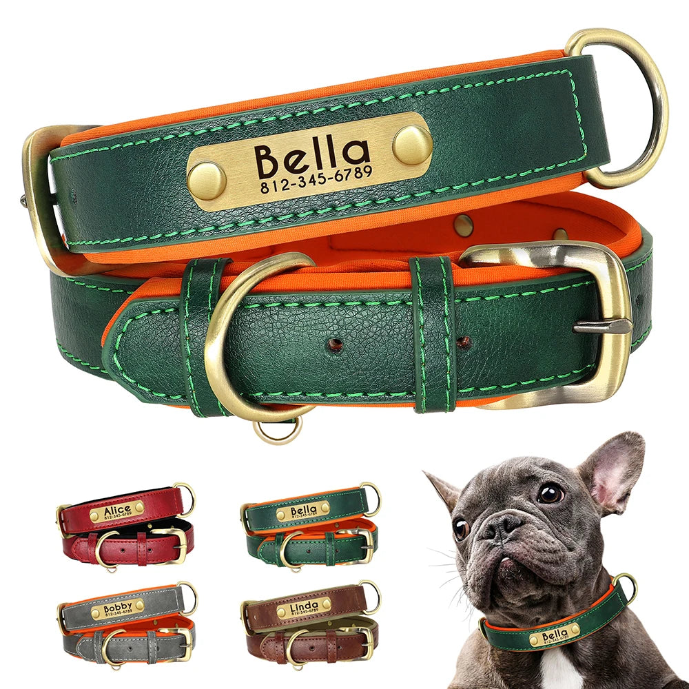 Collier de Chien Personnalisé en Plaque