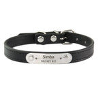 Collier de Chien Personnalisé avec Nom Sculpté