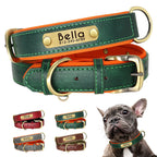 Collier de Chien Personnalisé en Plaque