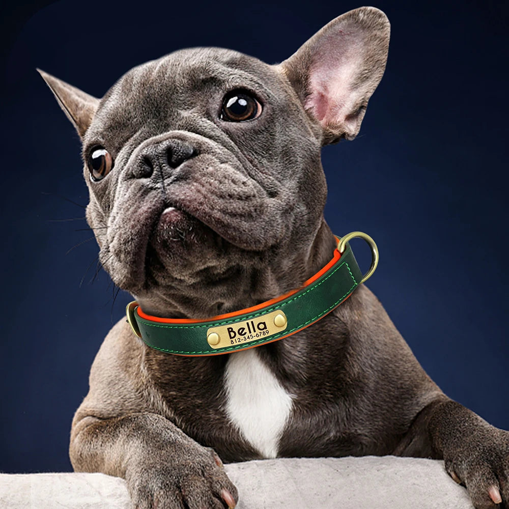 Collier de Chien Personnalisé en Plaque