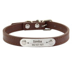 Collier de Chien Personnalisé avec Nom Sculpté