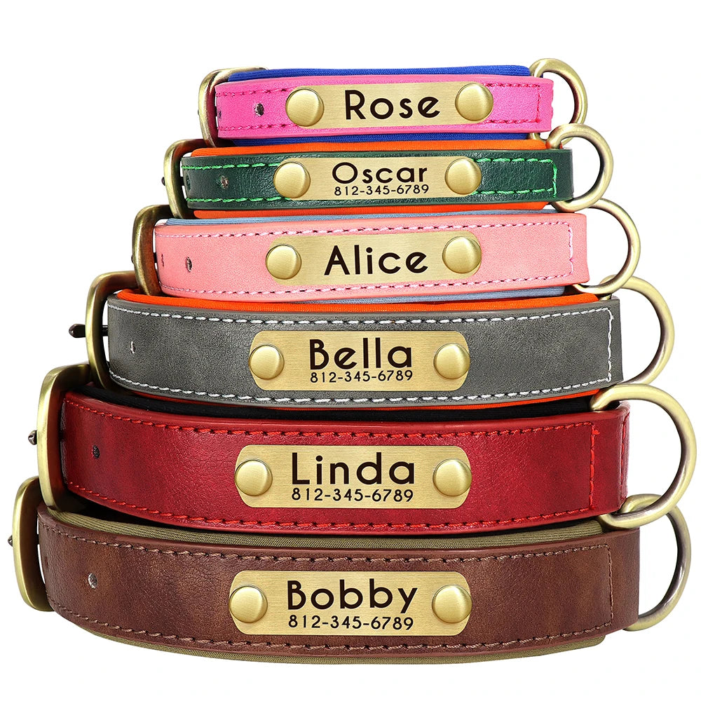 Collier de Chien Personnalisé en Plaque