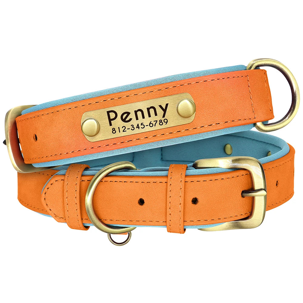 Collier de Chien Personnalisé en Plaque