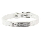 Collier de Chien Personnalisé avec Nom Sculpté