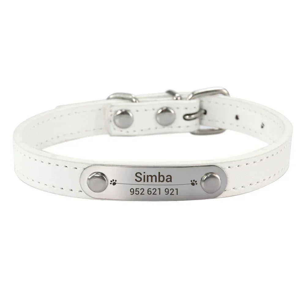Collier de Chien Personnalisé avec Nom Sculpté