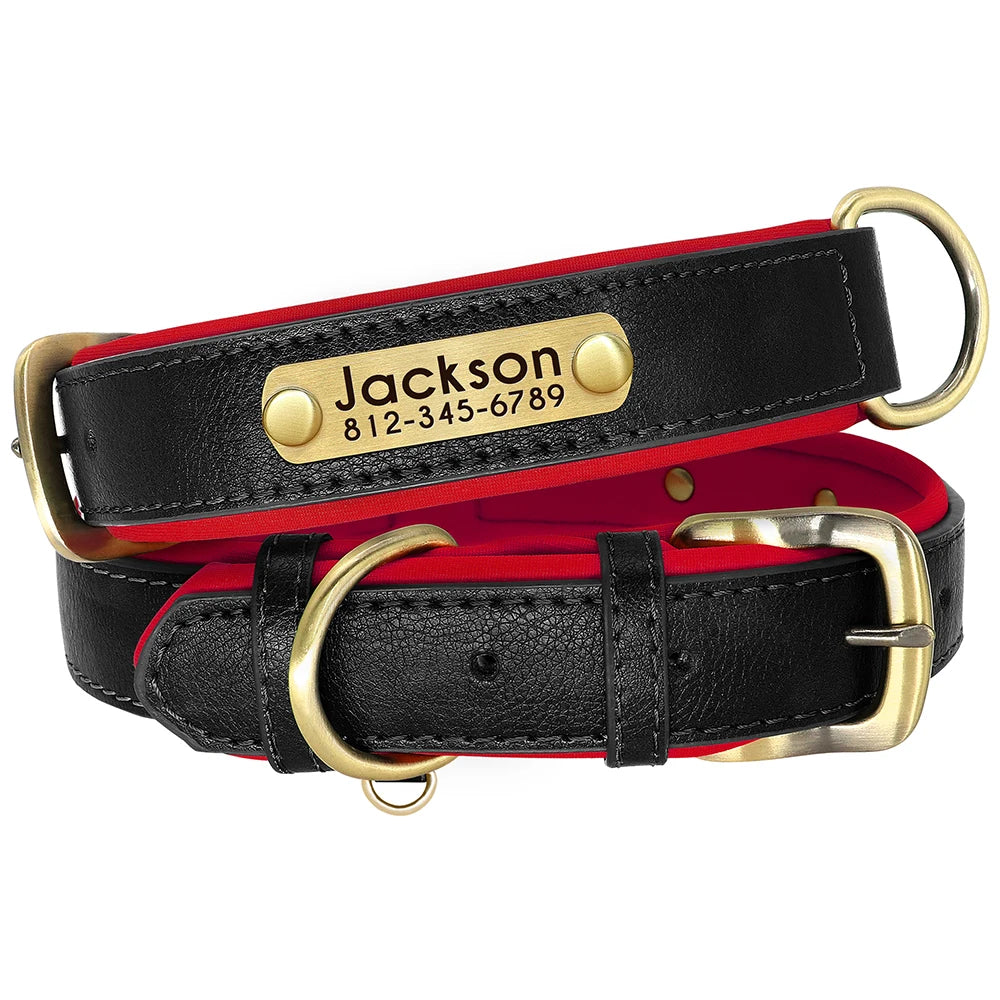 Collier de Chien Personnalisé en Plaque